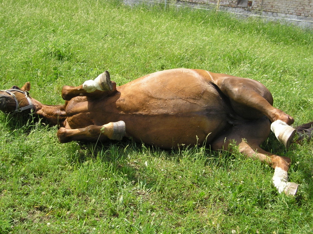 váleníčko.JPG